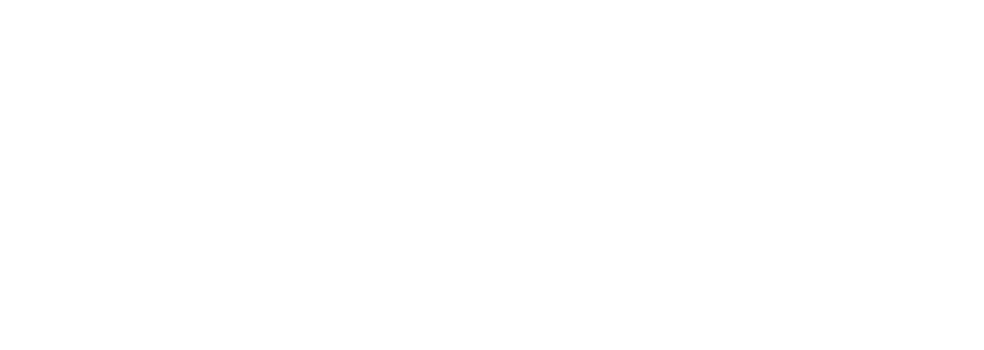 logo_vivalis